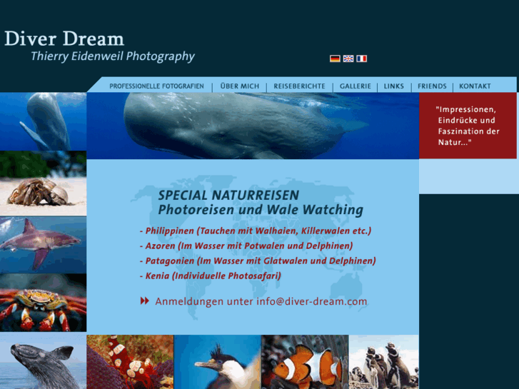 www.diver-dream.com