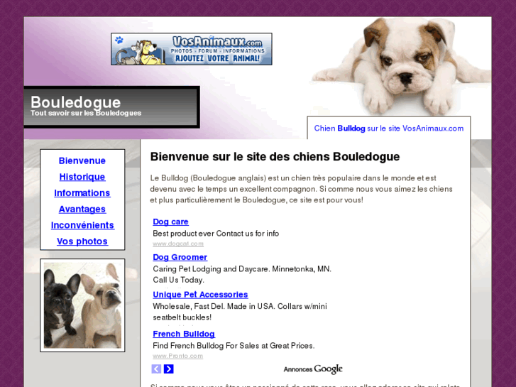 www.infobulldog.com