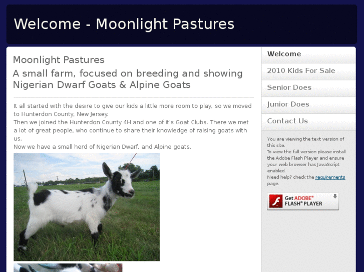 www.moonlightpastures.com