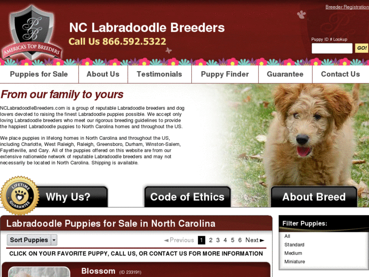 www.nclabradoodlebreeders.com