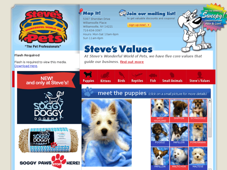 www.stevespets.com