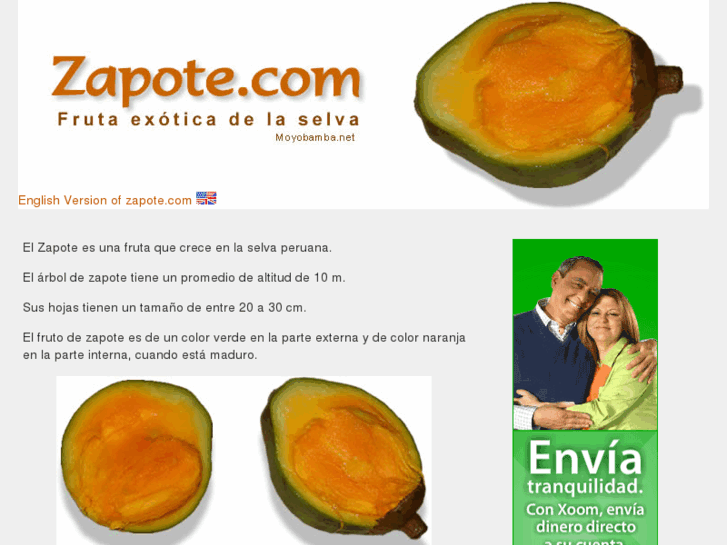 www.zapote.com