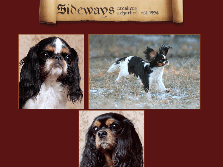 www.sidewaysdogs.com