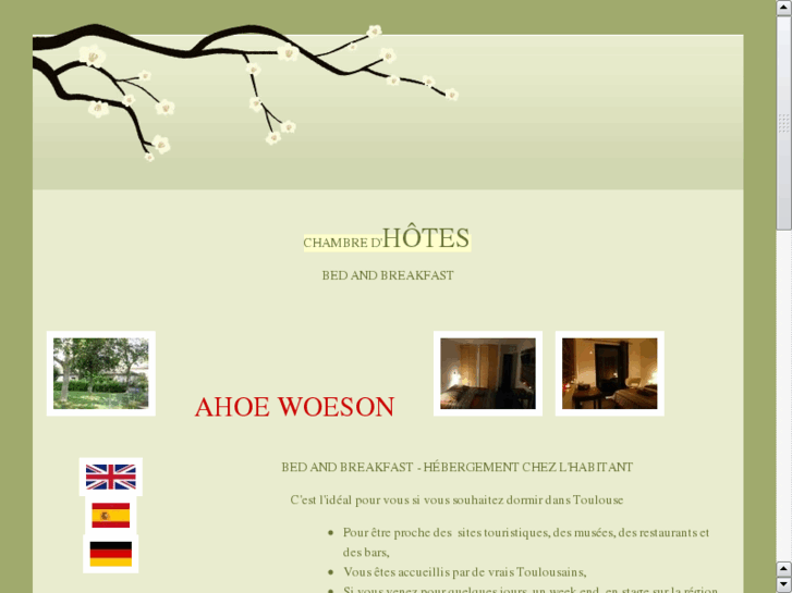 www.ahoewoeson.com