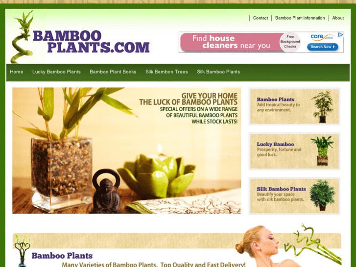 www.bambooplants.com