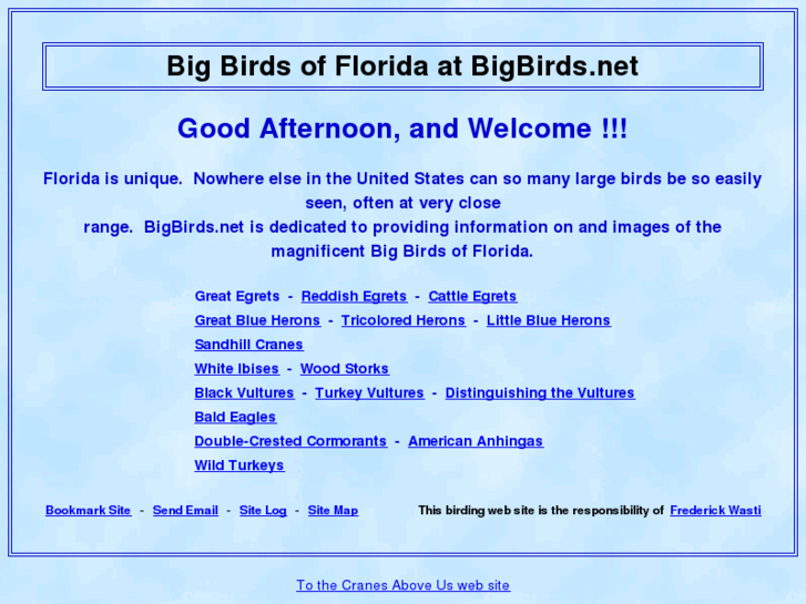 www.bigbirds.net