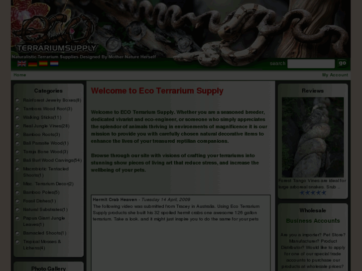 www.ecoterrariumsupply.com