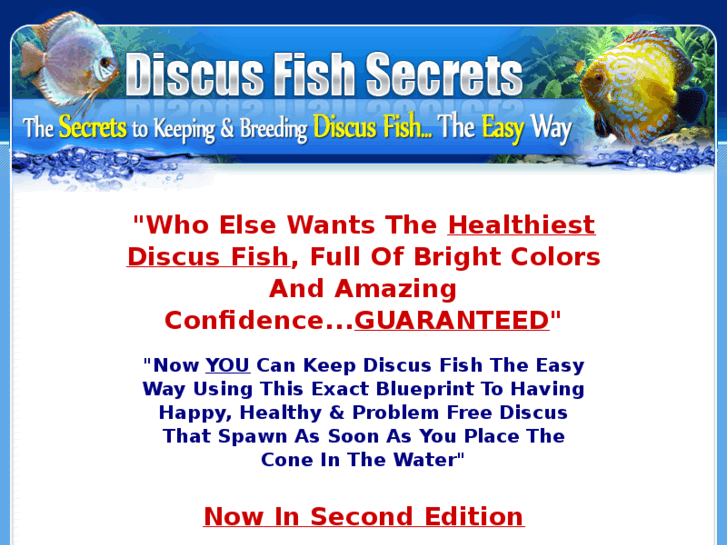 www.fish-secrets.info