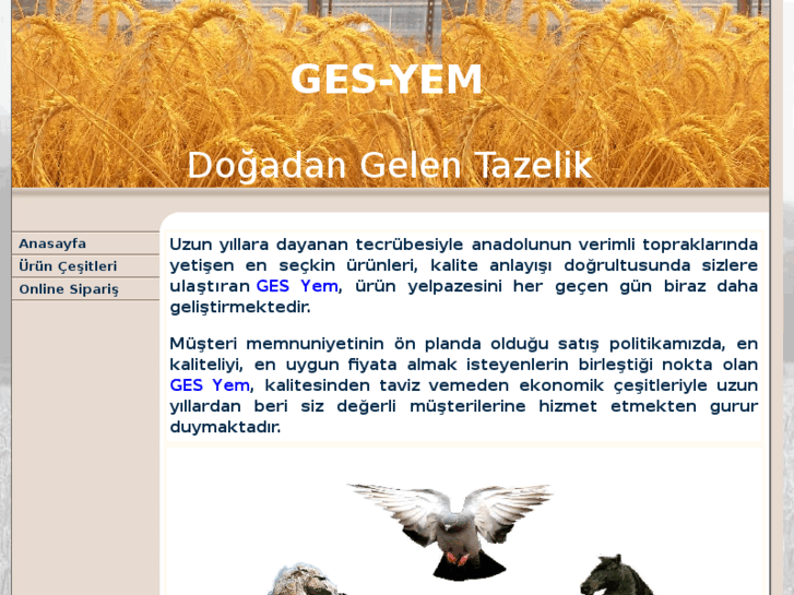 www.gesyem.com