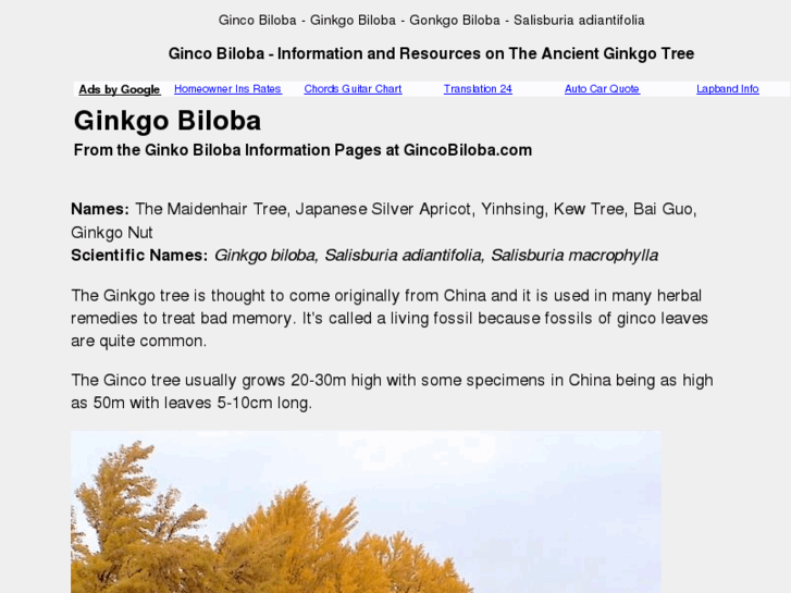 www.gincobiloba.com