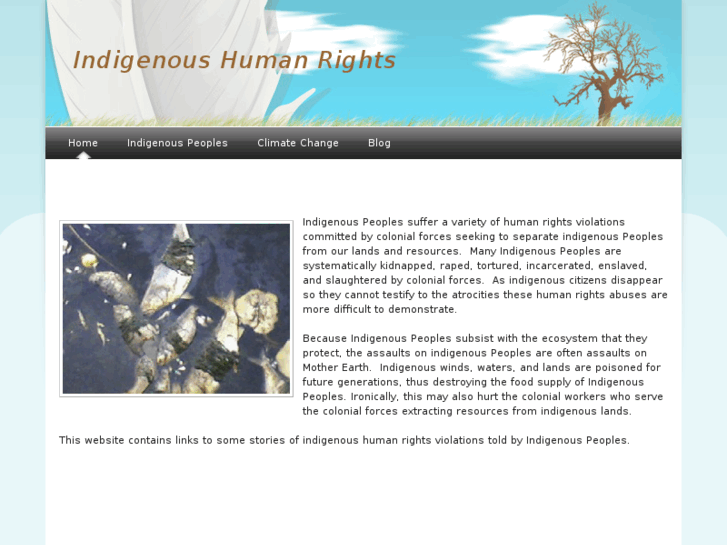 www.indigenoushumanrights.org