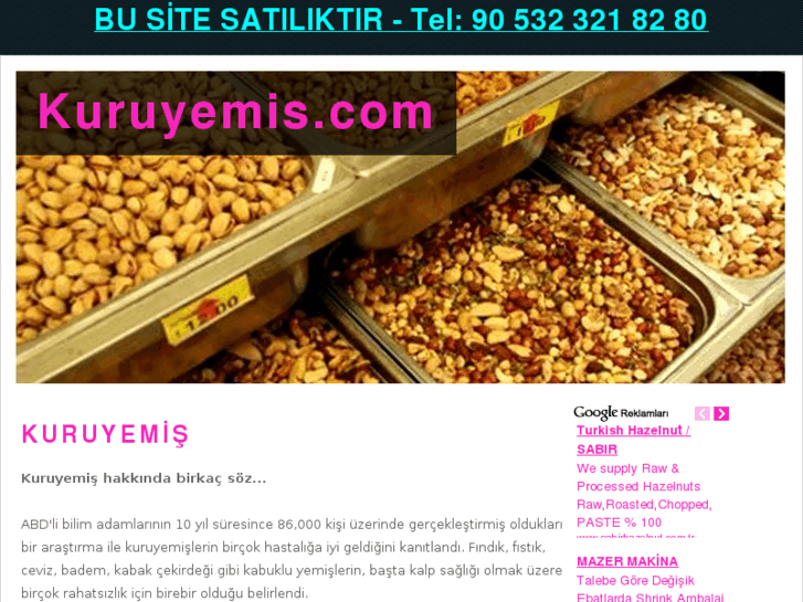 www.kuruyemis.com