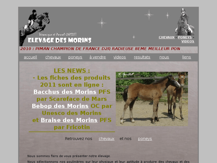 www.morins.fr