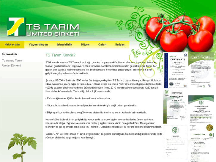 www.tstarim.com