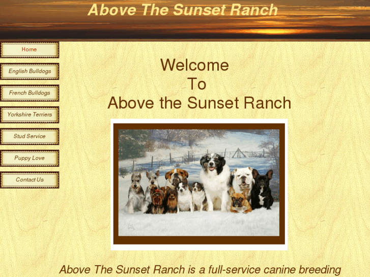 www.abovethesunsetranch.net