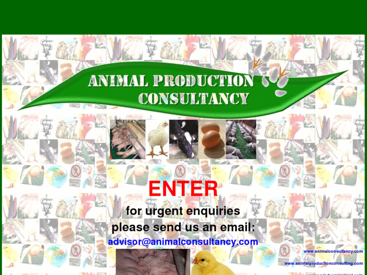 www.animalhealthconsultancy.com