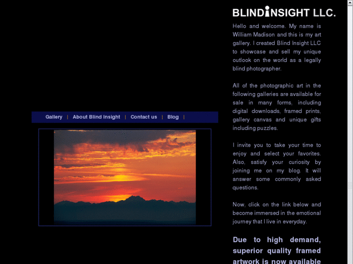 www.blind-insight.com