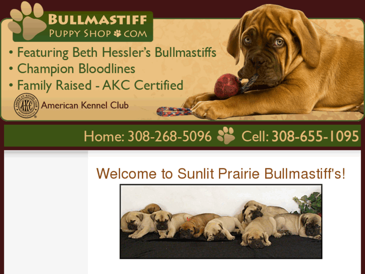 www.bullmastiffpuppyshop.com