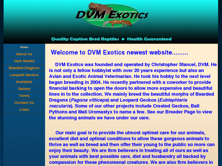 www.dvmexotics.com