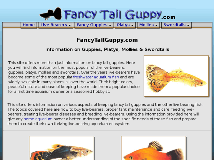 www.fancytailguppy.com