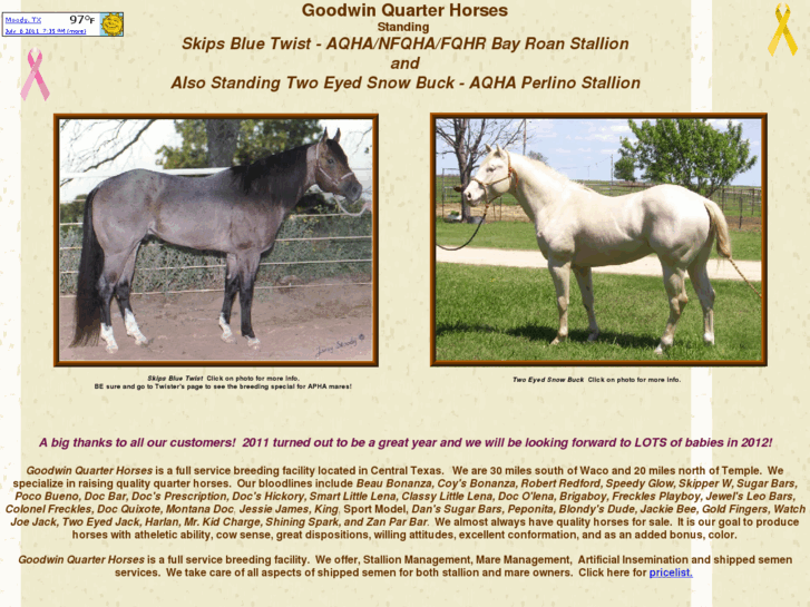 www.goodwinquarterhorses.com