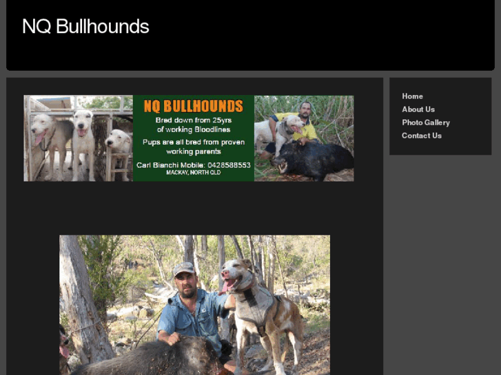 www.nqbullhounds.com