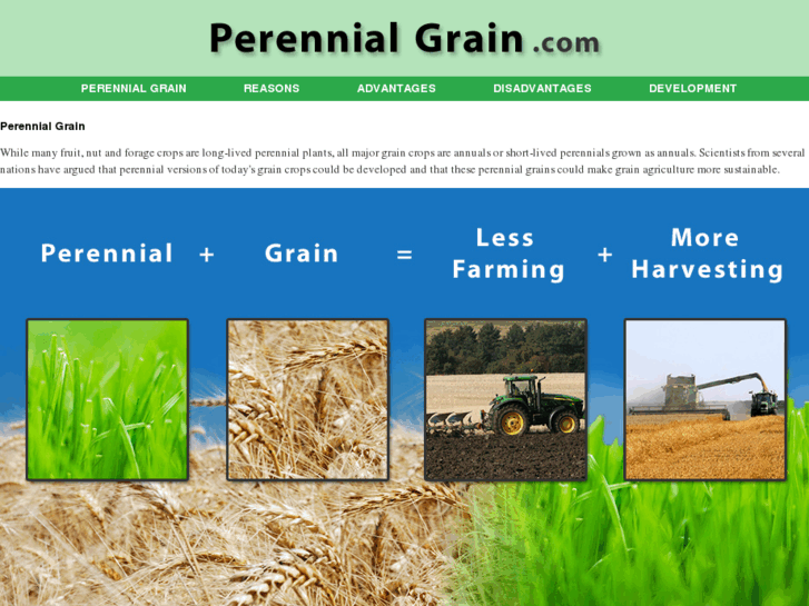 www.perennialgrain.com