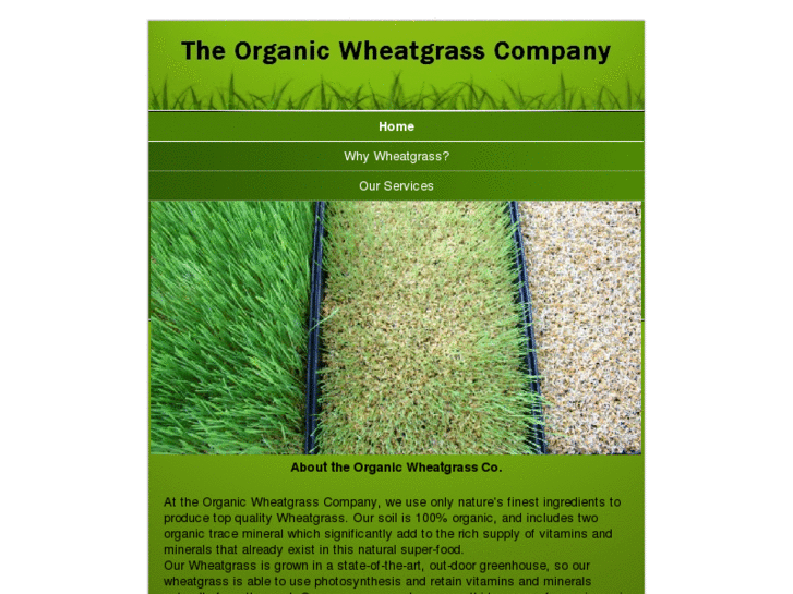 www.theorganicwheatgrasscompany.com