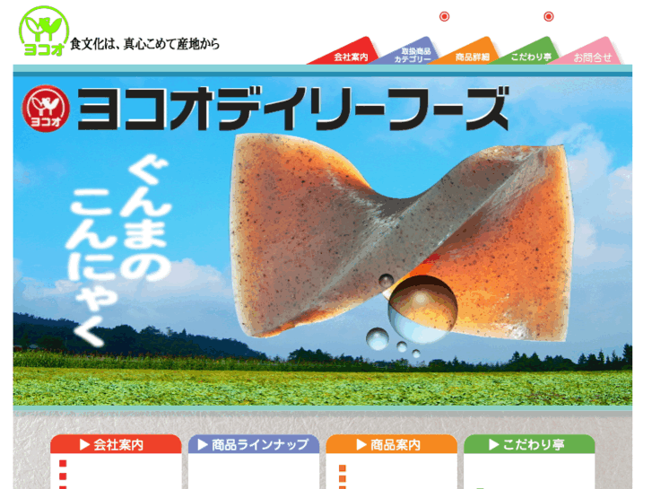 www.yokoo-net.co.jp
