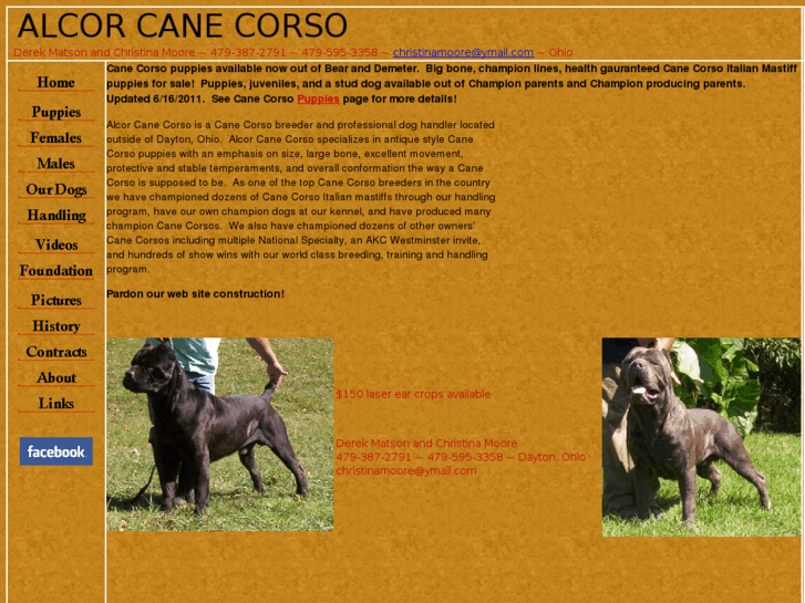 www.alcorcanecorso.com