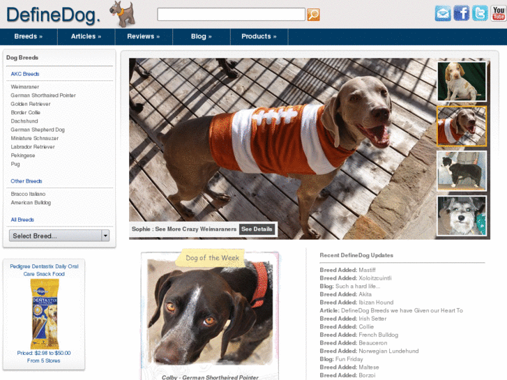 www.definedogs.net