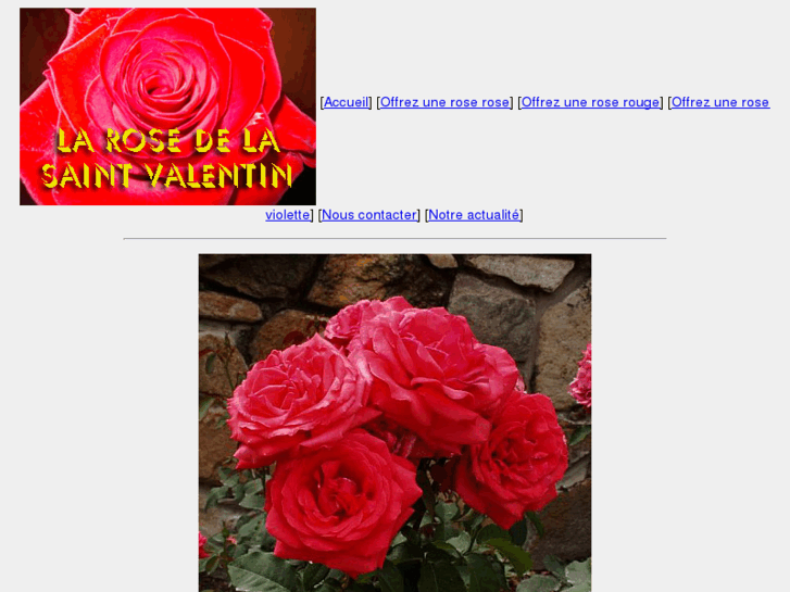 www.la-rose-de-la-saint-valentin.com