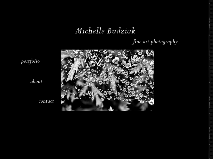 www.michellebudziak.com