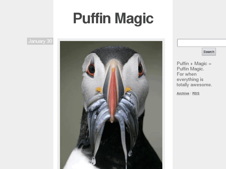 www.puffinmagic.com