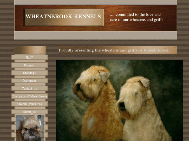 www.wheatenterrierbreeder.com