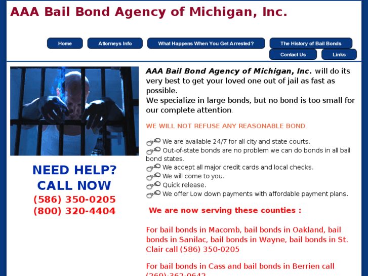 www.bailbondsmichigan.net