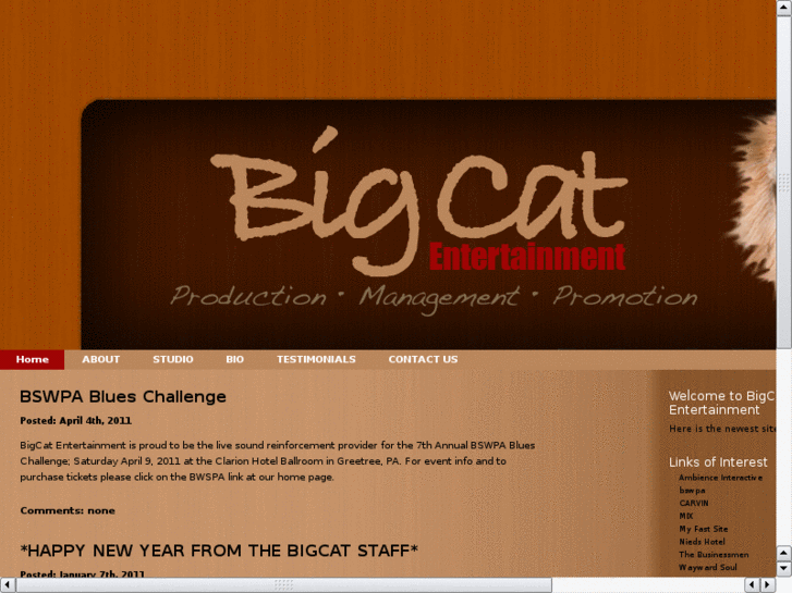 www.bigcatent.com