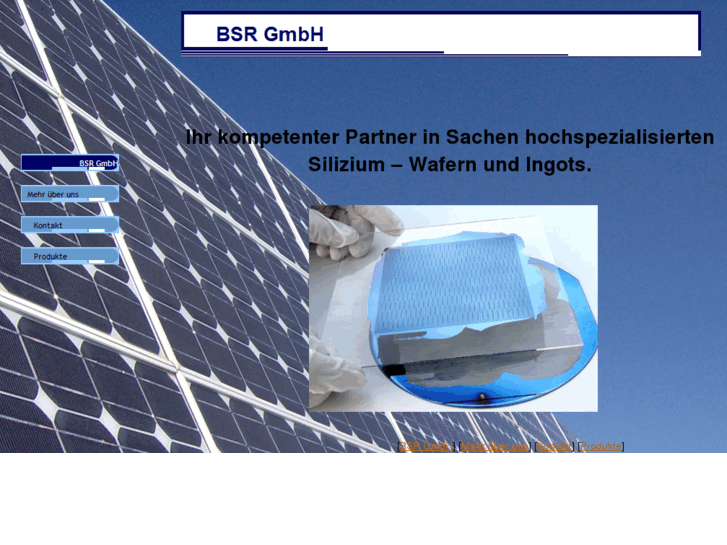 www.bsrgmbh.com