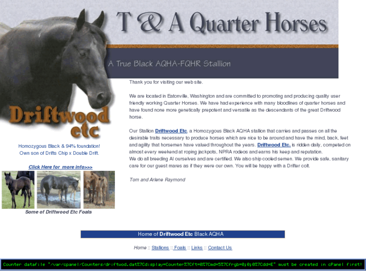 www.driftwoodquarterhorses.com