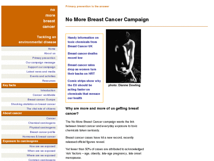 www.nomorebreastcancer.org