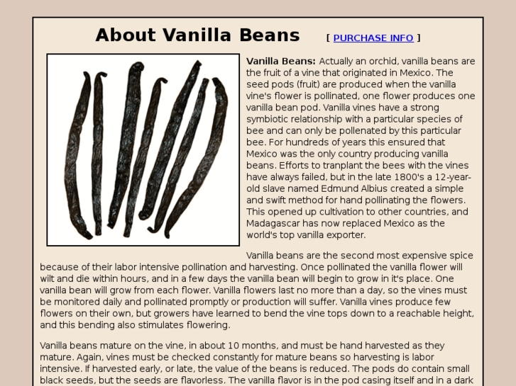 www.vanilla-beans.com