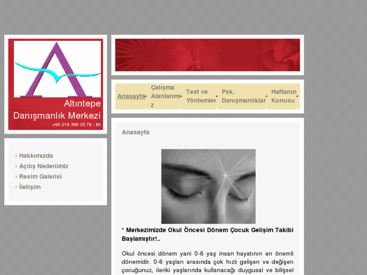 www.altintepedanismanlik.com