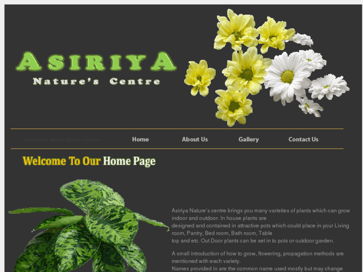 www.asiriya.com