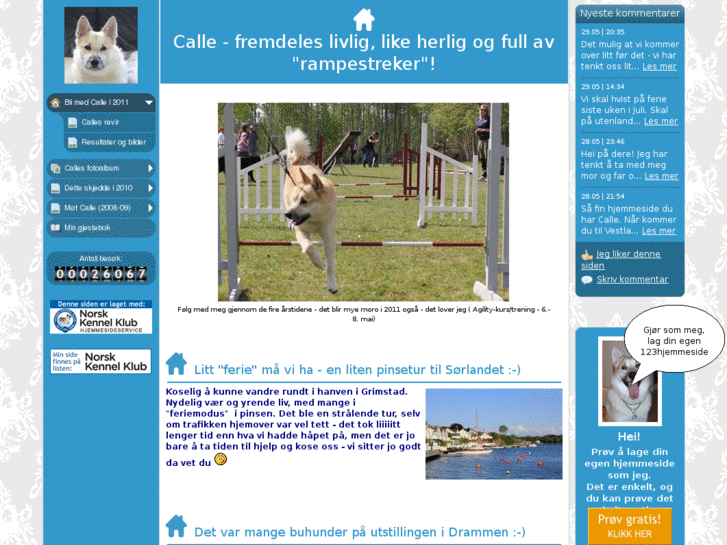 www.calle-en-glad-buhund.net