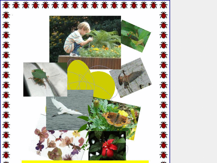 www.clubbugbook.com