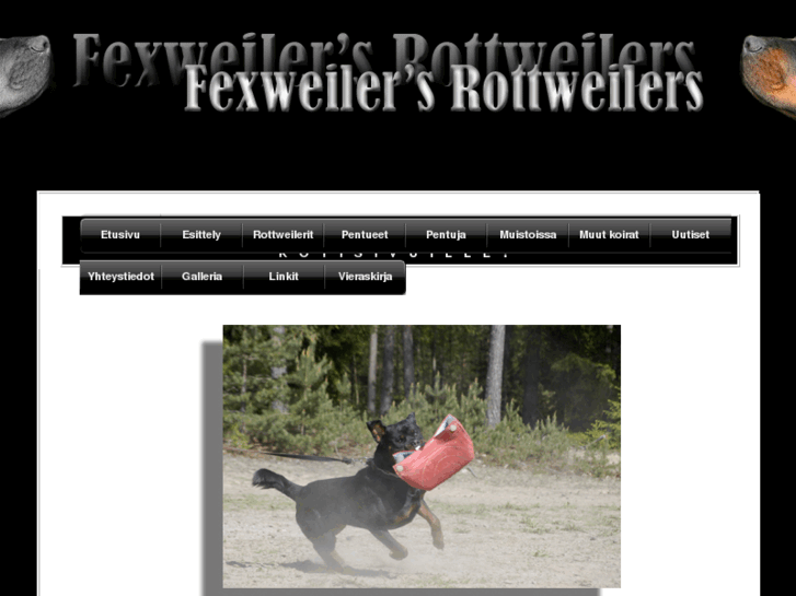 www.fexweilers.net