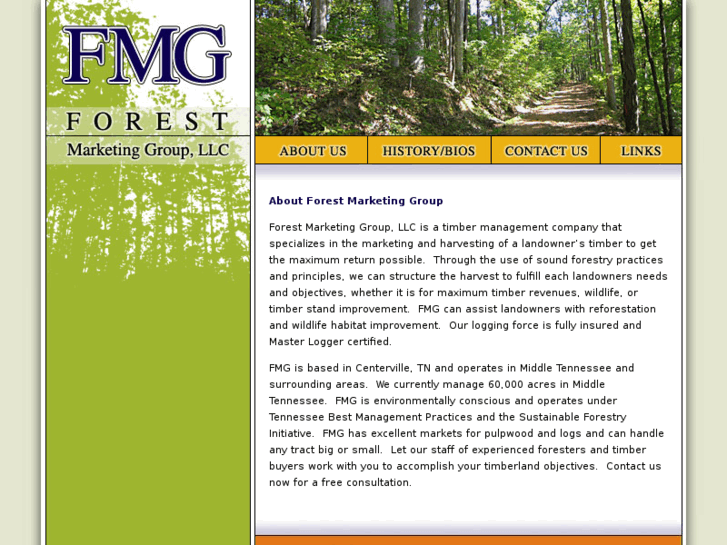 www.forestmarketinggroup.com