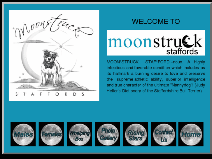 www.moonstruckstaffords.com