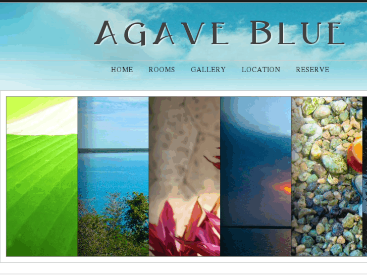 www.agave-blue.com