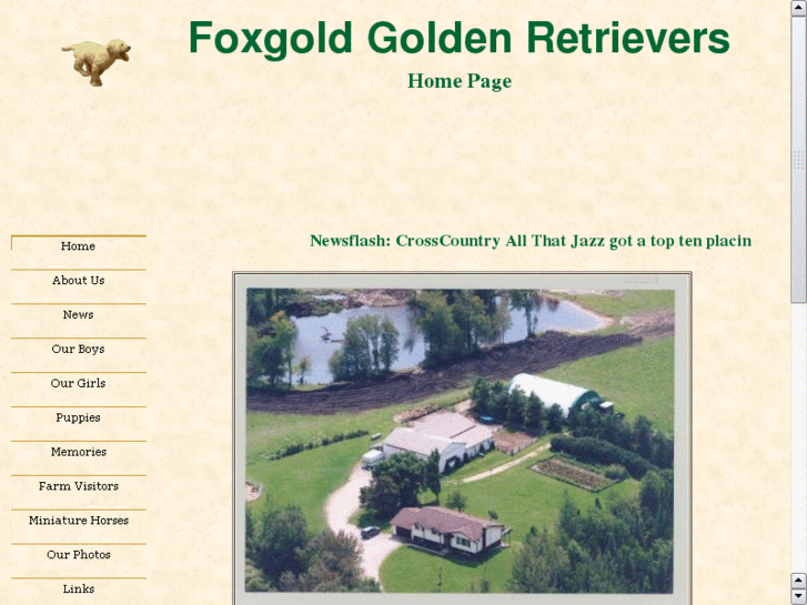 www.foxgold.net